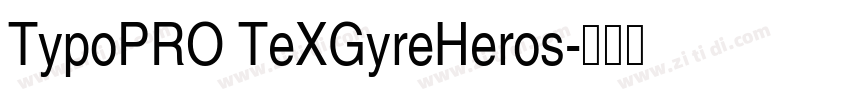 TypoPRO TeXGyreHeros字体转换